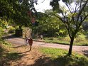 2018-09-18 09-41-59 Rando Combas